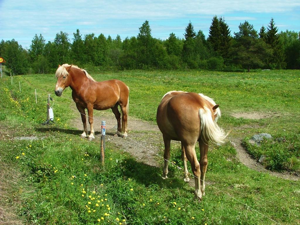 Semesterbostad Wanha Pappila Simoniemi